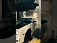 Colon, un vrai cas au Liban! La vidéo partagée par un client ce matin!